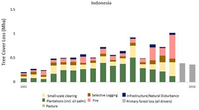 The Jurisdictional Approach in Indonesia: Incentives, Actions, and Facilitating Connections